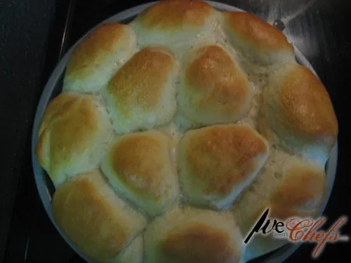 Dinner Rolls