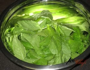 Fresh basil (opens in a new tab)